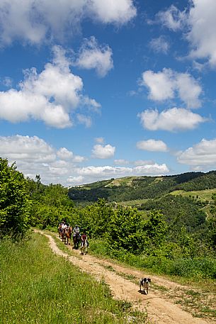 Horse riding Alta Langa